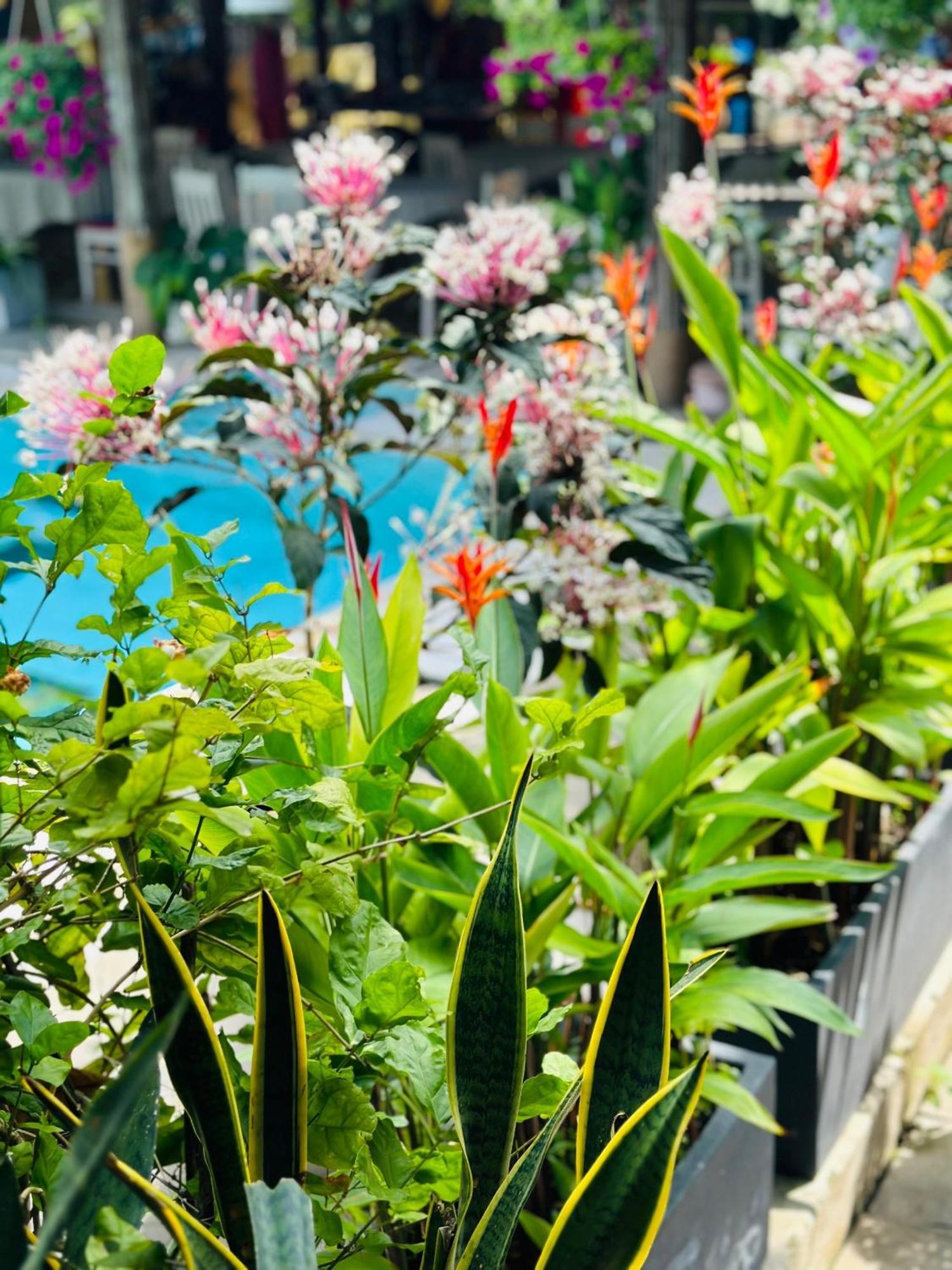Water Palm Residence Hieu Nhon Ngoại thất bức ảnh