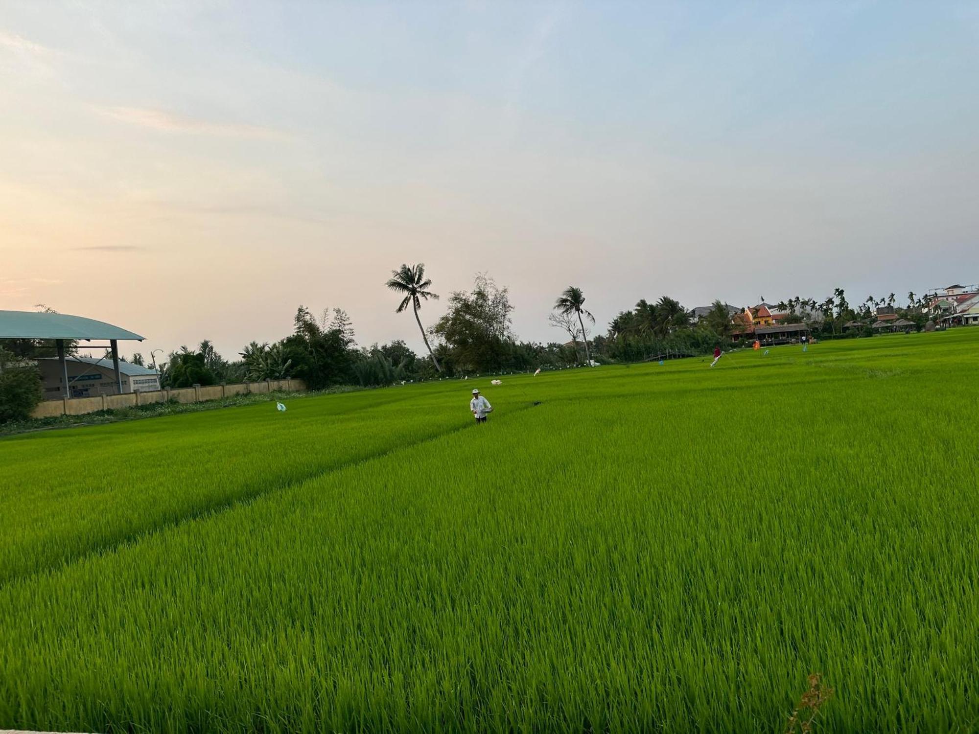 Water Palm Residence Hieu Nhon Ngoại thất bức ảnh